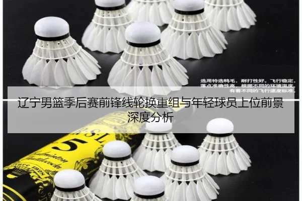 辽宁男篮季后赛前锋线轮换重组与年轻球员上位前景深度分析